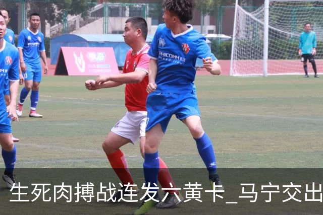 生死肉搏战连发六黄卡 马宁交出世界杯主哨首秀答卷